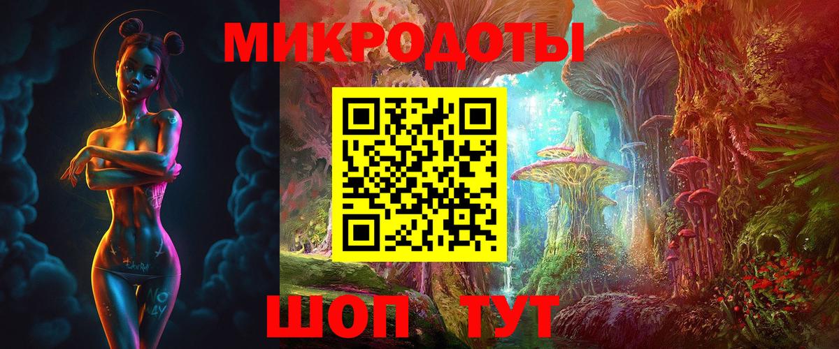 Галлюциногенные грибы Psilocybe Ессентуки